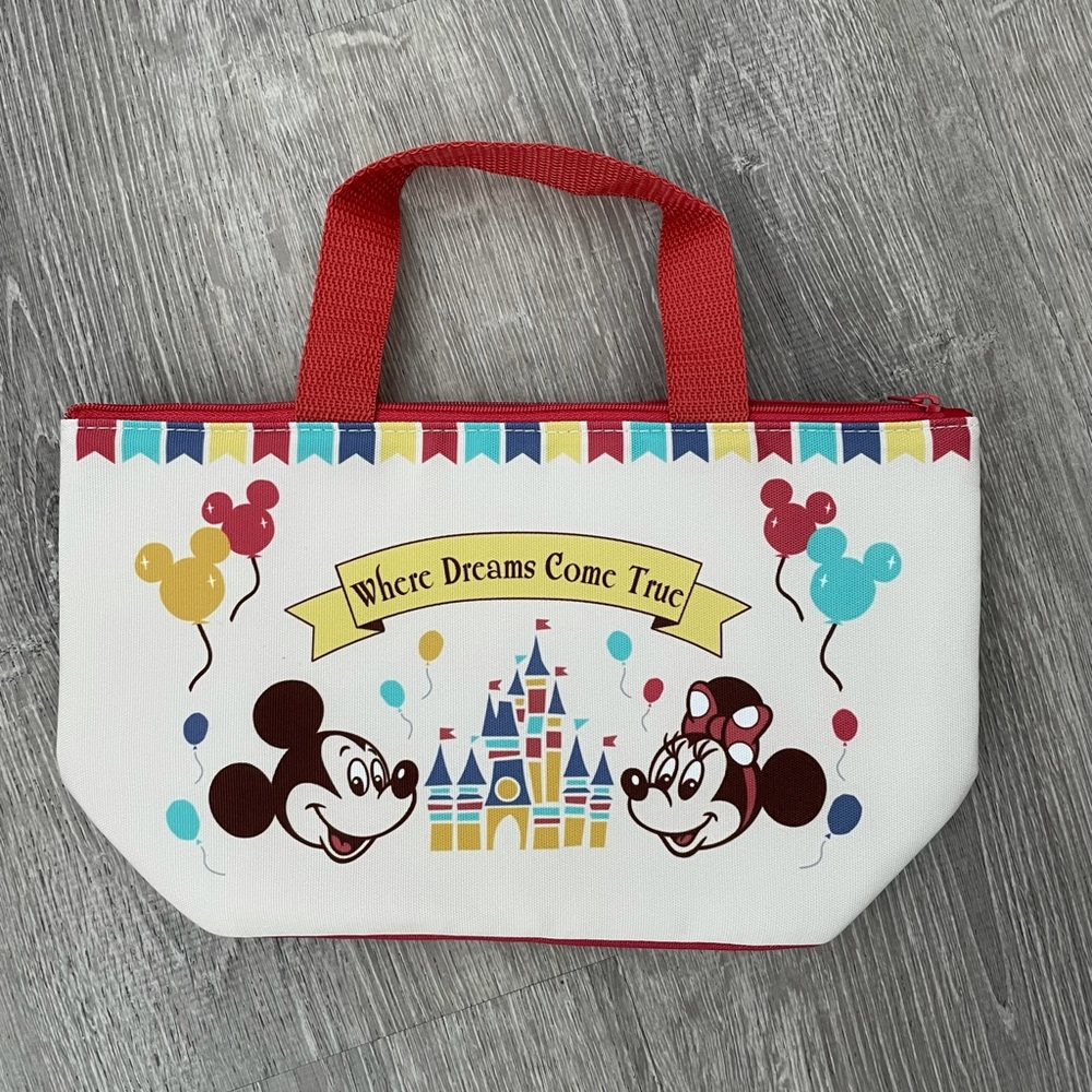 Tokyo Disney cooler bag